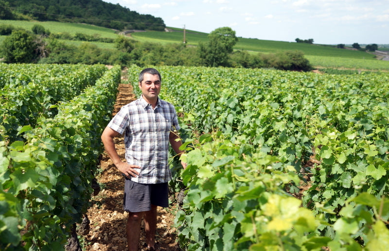COQUARD LOISON FLEUROT